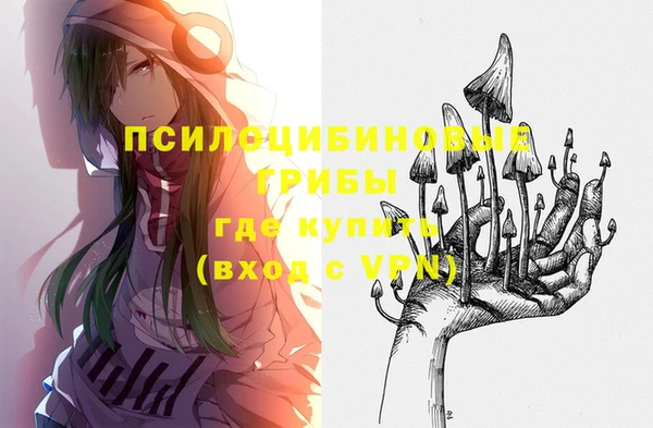 apvp Зерноград