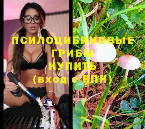 MDMA Premium VHQ Иннополис