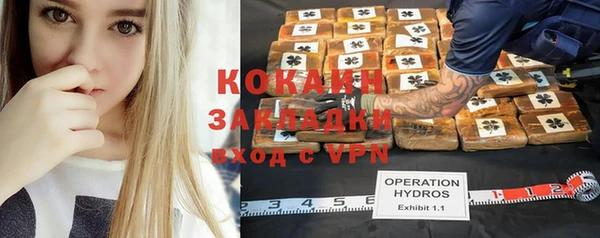 PSILOCYBIN Зеленодольск