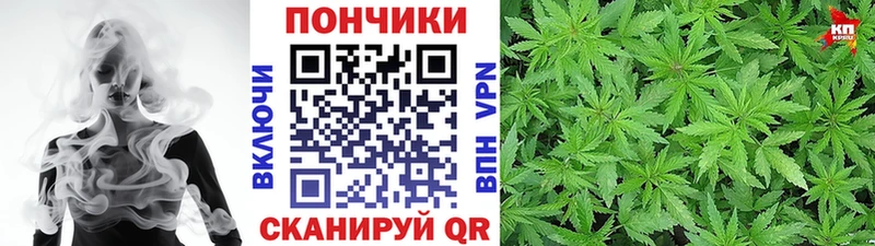 Шишки марихуана индика  Купить закладки  Зуевка 